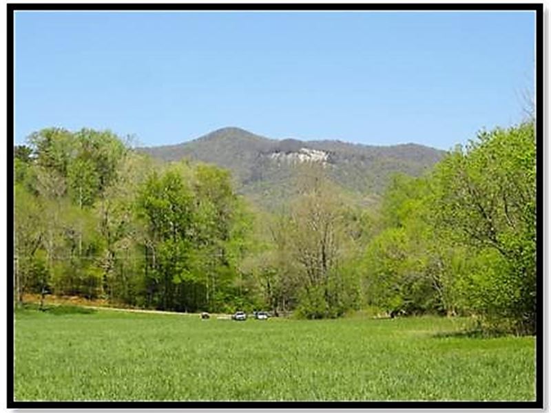 Table Rock Road Farm : Pickens : Pickens County : South Carolina