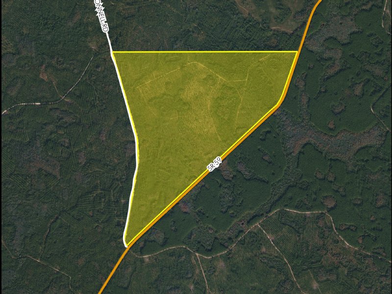 371 Acres State Road 59 : Monticello : Jefferson County : Florida