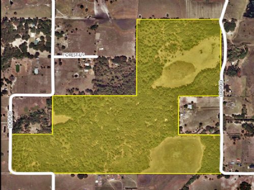 Lake County 120 Acres on Loop Road : Groveland : Lake County : Florida