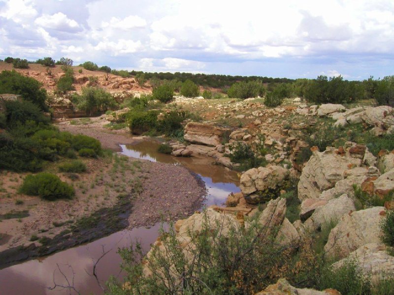 Northern AZ Wilderness Canyon Ranch : Heber-Overgaard : Navajo County : Arizona