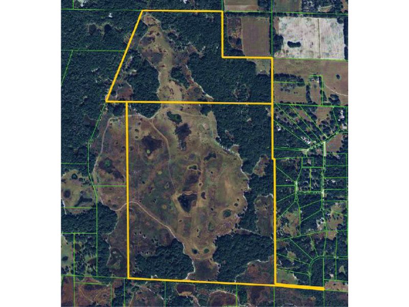 Stafford's Prairie Ranch : Williston : Levy County : Florida