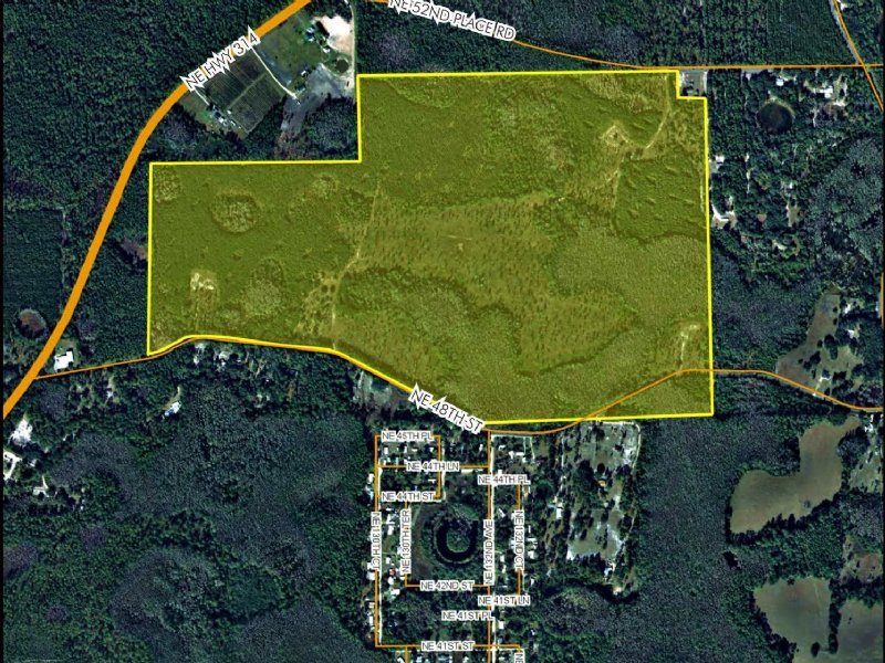 208 Acres Silver Springs : Silver Springs : Marion County : Florida