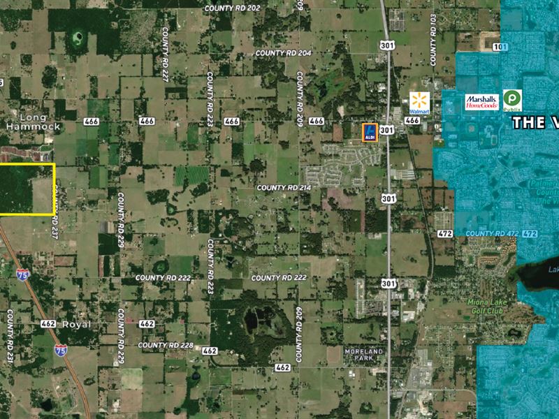260 Acres Land Near The Villages : The Villages : Sumter County : Florida