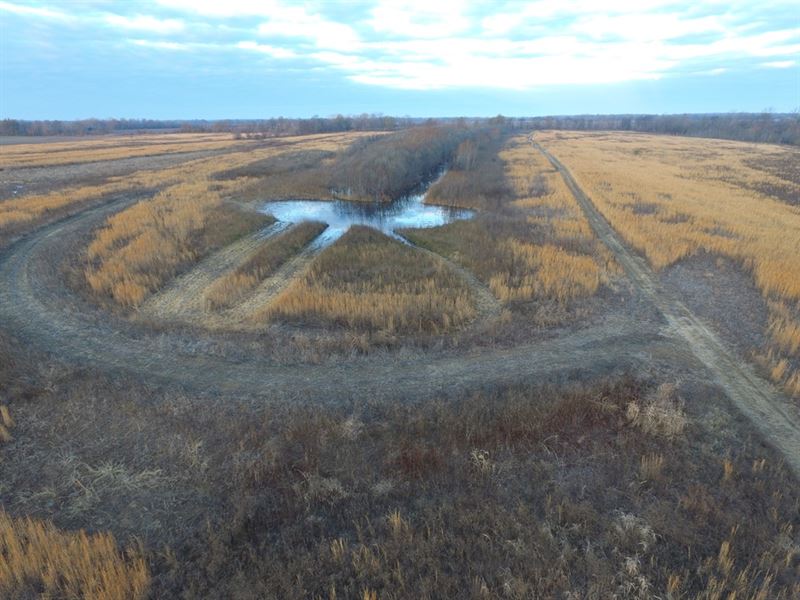 120 Ac Duck and Deer Hunting Land, Ranch for Sale in Mississippi, 107818 RANCHFLIP