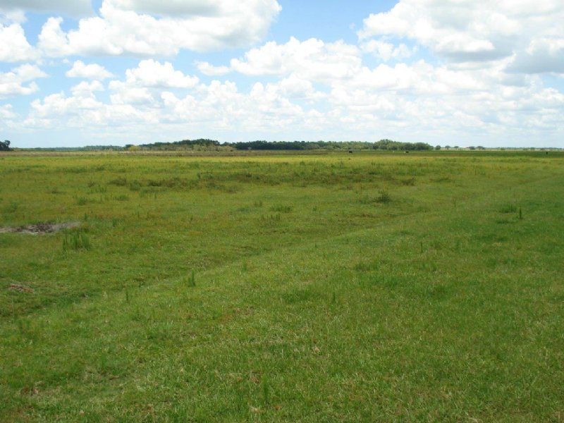 Verna Ranch : Sarasota : Sarasota County : Florida