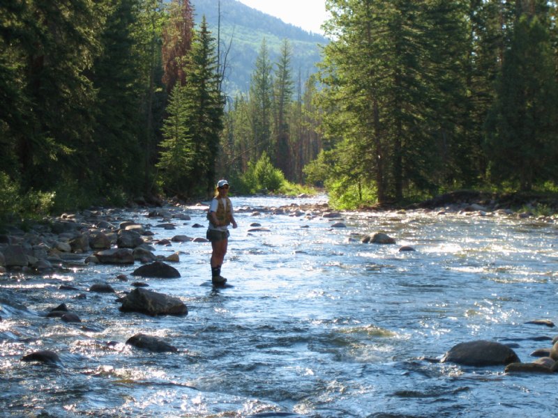 18 Acres On Yaak River : Yaak : Lincoln County : Montana