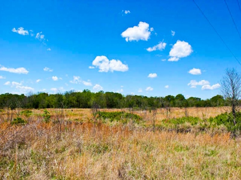 12 Acre Saddlebrook Ranch : Okemah : Okfuskee County : Oklahoma