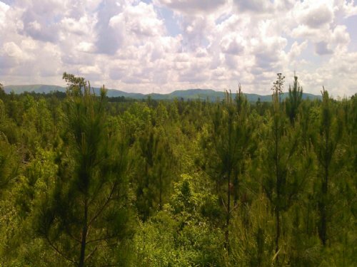 S B Tract 9552 : Adairsville : Bartow County : Georgia