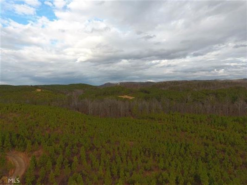 93.24 Ac Mount Pleasant Tract 9554 : Fairmount : Bartow County : Georgia