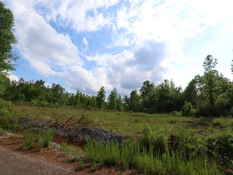 53+/- Acres Hunting Land : Sylacauga : Talladega County : Alabama