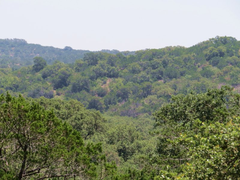 Rugged Hunting Property : Rocksprings : Edwards County : Texas