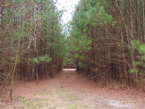 Mill Creek Tract 9719 : LaFayette : Walker County : Georgia