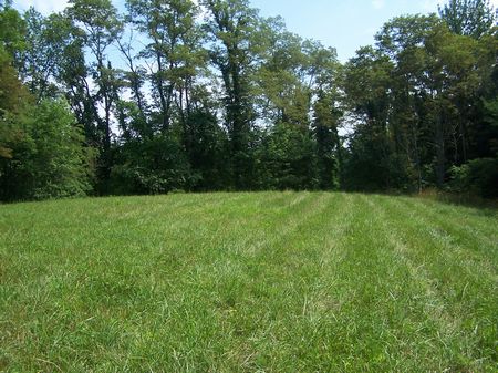 10. Acres, Elk Creek, Va Private : Elk Creek : Grayson County : Virginia