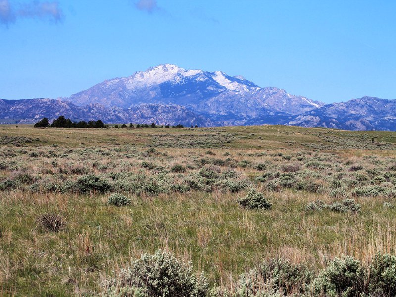 Laramie Peak Hunting Property : Wheatland : Platte County : Wyoming