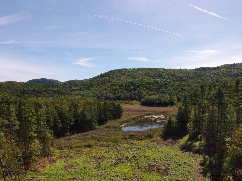 Marshall Phillips Forest : Brandon : Rutland County : Vermont