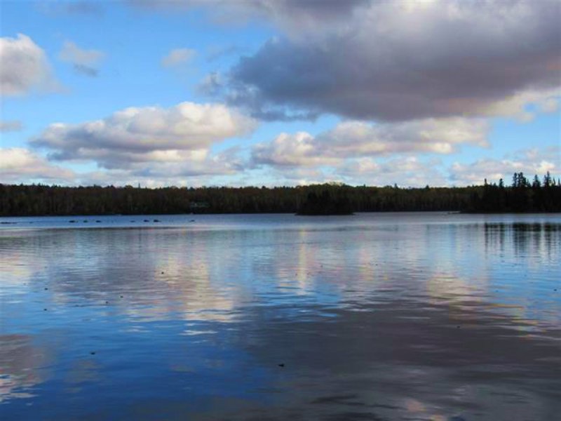 Lot 8 N. Fence Lk Dr : Michigamme : Baraga County : Michigan