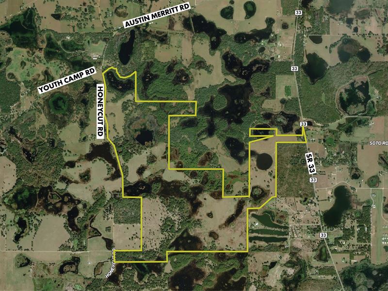 Residential Development Land : Groveland : Lake County : Florida