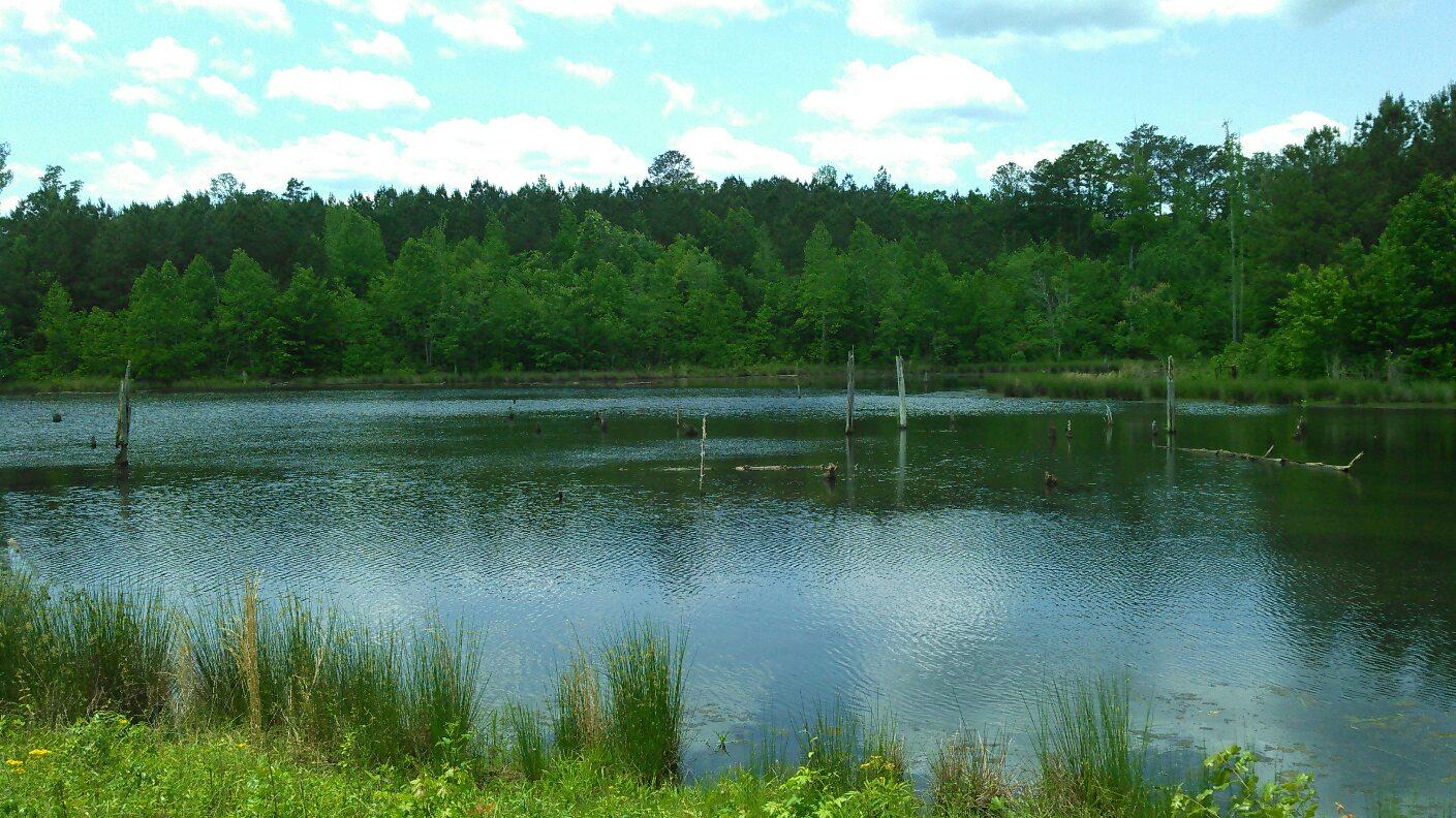 S B Tract 9598 Ranch For Sale In Plainville Gordon County Georgia Ranchflip S B Tract 9598 Ranch For Sale In Plainville Gordon County Georgia Ranchflip