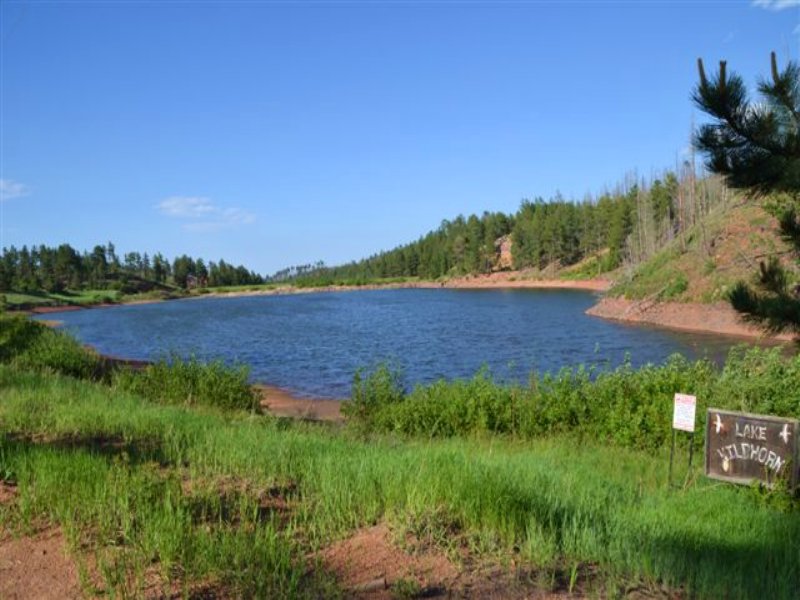 Wildhorn Ranch : Florissant : Teller County : Colorado