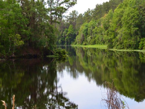 Withlacoochee Peninsula : Dunnellon : Marion County : Florida