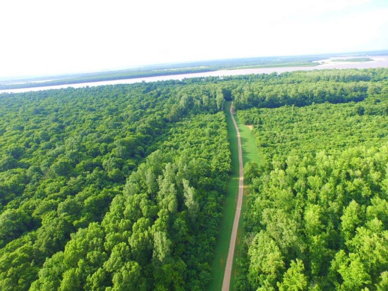 Black Bayou Hunt Club Equity Share, Ranch for Sale in Mississippi