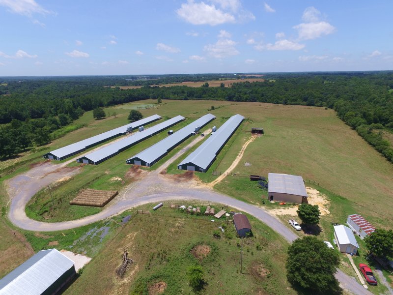 4 House Broiler Poultry Farm : Sylvania : DeKalb County : Alabama