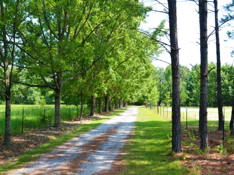 Segrest Mini-farm : Shorter : Macon County : Alabama