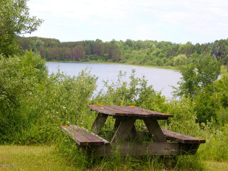 12.5 Acres On Hodges Lake : Evart : Mecosta County : Michigan