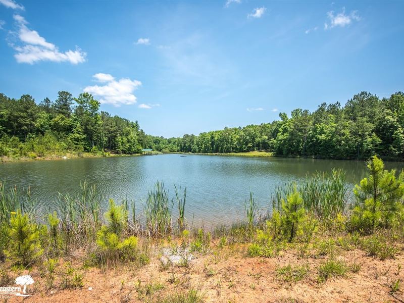 329 Acre High Fence Property : Marion : Perry County : Alabama