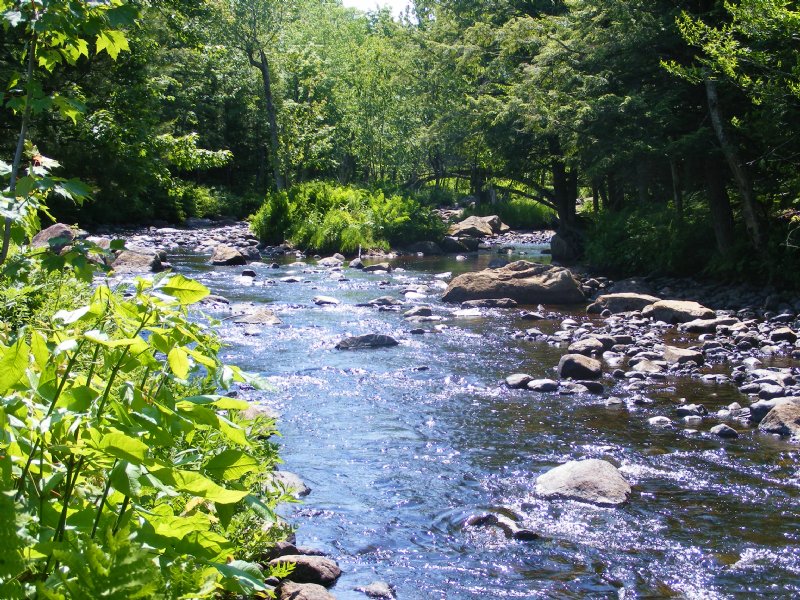 Camp Ozonia : Waverly : Franklin County : New York