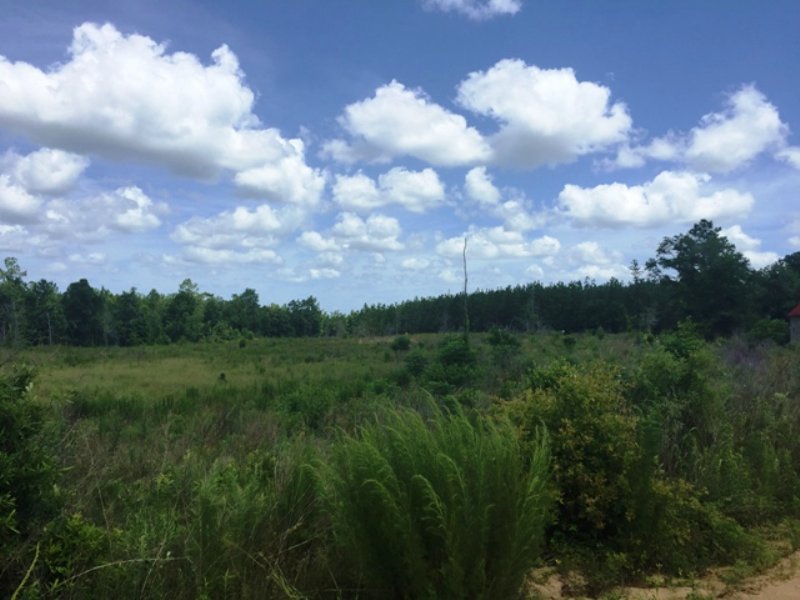 St, Gallilee Road North : Summertown : Emanuel County : Georgia