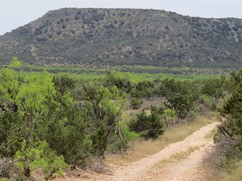Secluded Hunting, Rural Water Meter : Robert Lee : Coke County : Texas