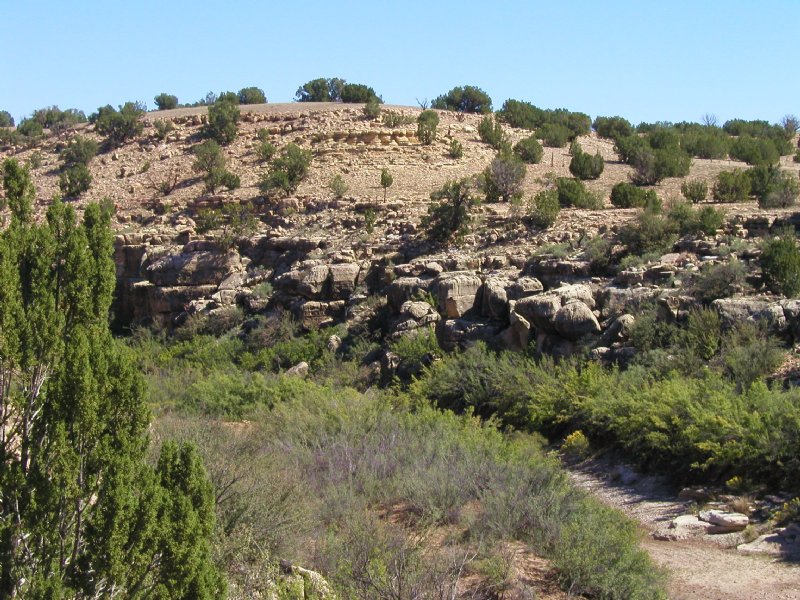 Wilderness Ranch Creek Frontage : Heber-Overgaard : Navajo County : Arizona
