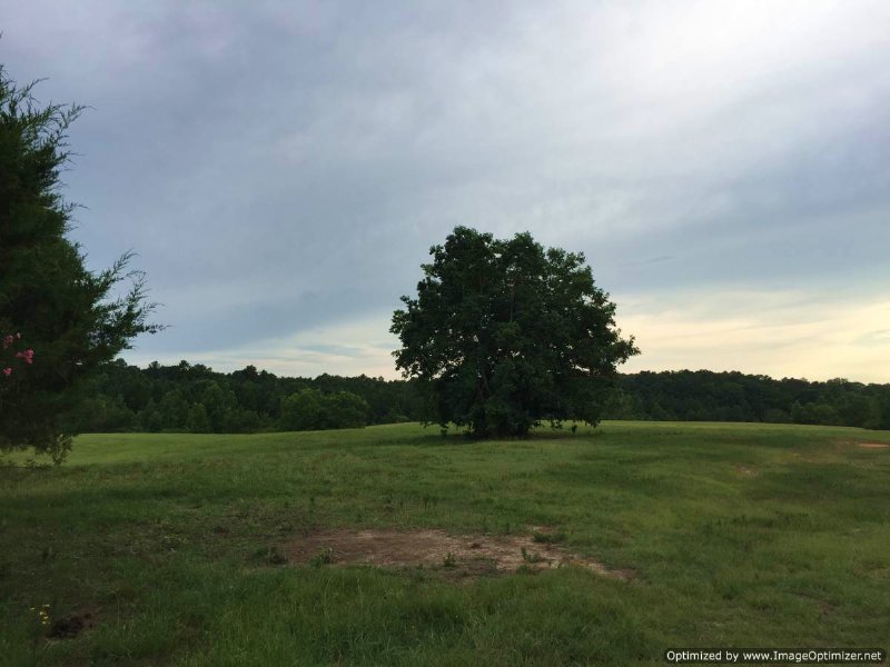 32± Ac : Hazlehurst : Copiah County : Mississippi