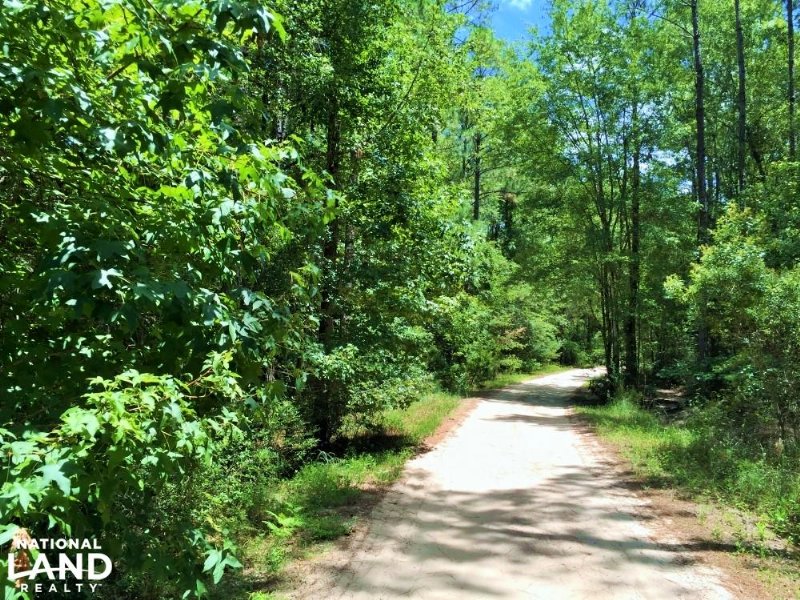 Great Satilla Preserve Lot 41 : White Oak : Camden County : Georgia