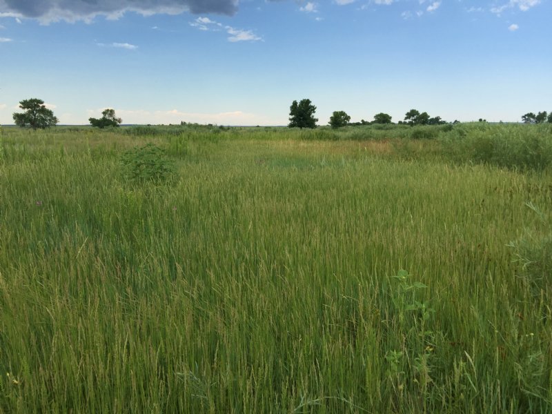 Black Squirrel Creek Ranch : Peyton : El Paso County : Colorado