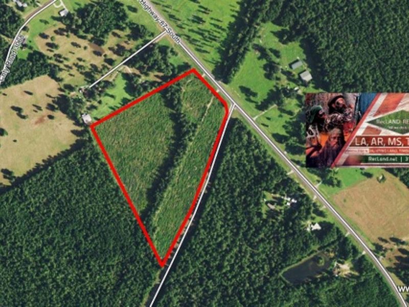 22.8 Ac, Pine Plantation with Nice : Bleakwood : Newton County : Texas