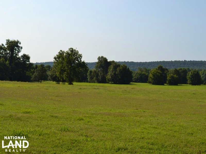 300 Acre Cattle & Hay Farm : Caulksville : Logan County : Arkansas