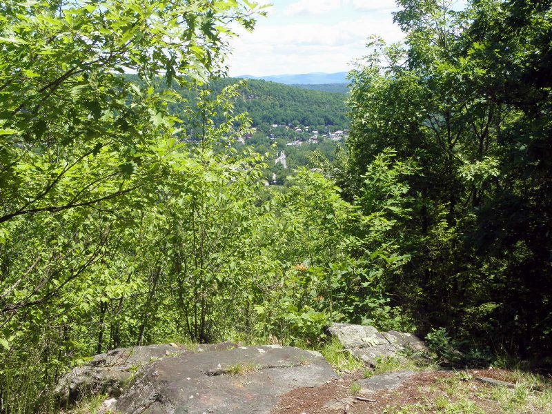 West Mountain Forest : Whitehall : Washington County : New York