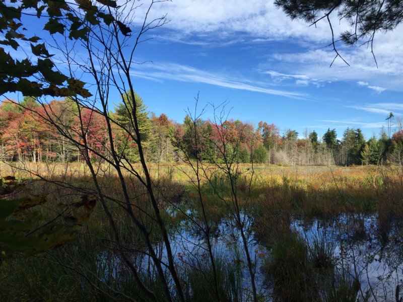 Tug Hill Hunting Land with Pond : Amboy : Oswego County : New York