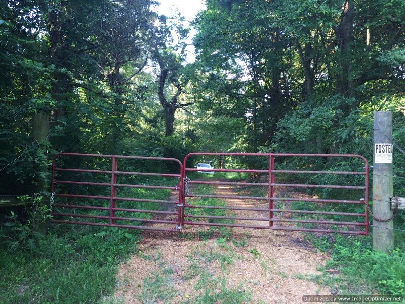 147+/- Recreational Tract : Yazoo City : Yazoo County : Mississippi