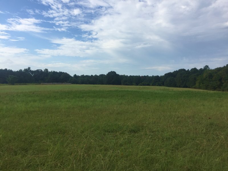 Live Oak Plantation : Luverne : Crenshaw County : Alabama
