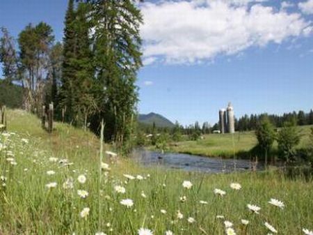 Beautiful Ranch with 2 Houses : Beaver Creek : Sanders County : Montana