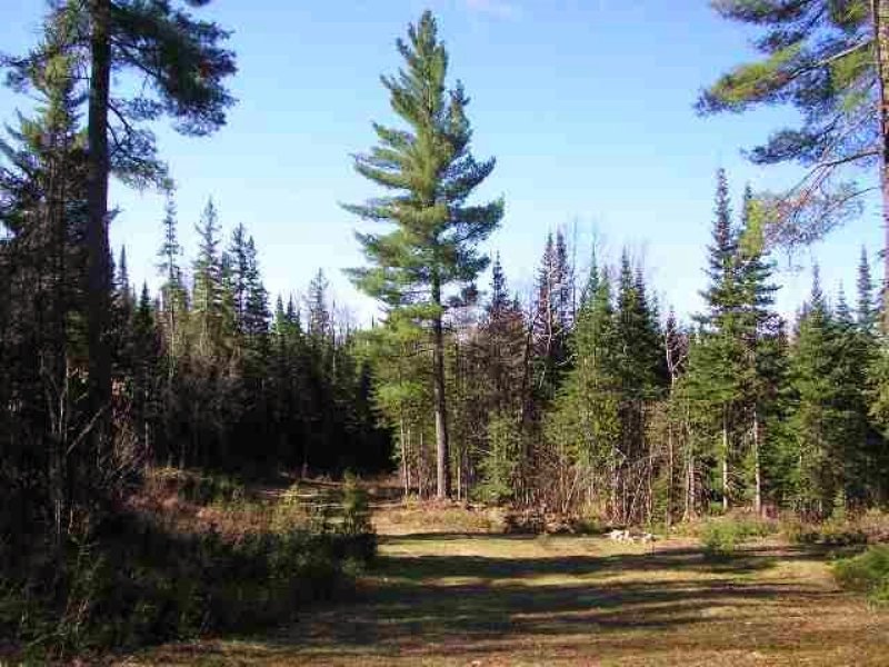 21750 Timberland, Mls 1097521 : Michigamme : Baraga County : Michigan