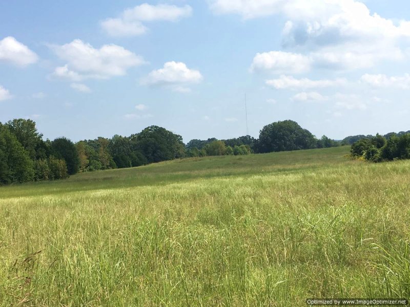 75+/- Ac Rolling Pasture : Raymond : Hinds County : Mississippi