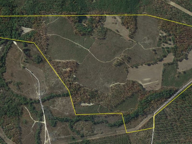 Pine Valley Retreat : Sparta : Hancock County : Georgia