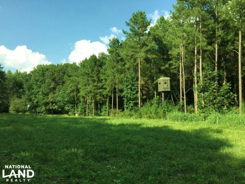 Fort Deposit Hunting and Timber Inv : Fort Deposit : Lowndes County : Alabama