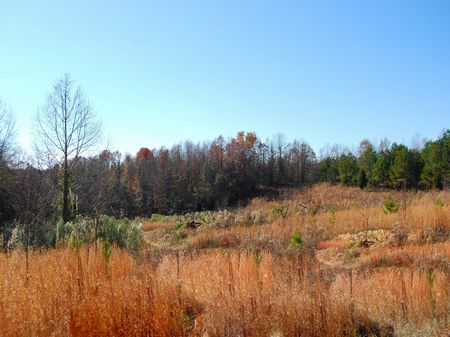Riverfront Property : Roebuck : Spartanburg County : South Carolina
