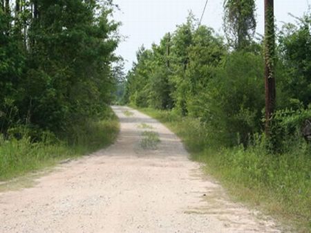 Cherry Hill Ranch : Kountze : Hardin County : Texas