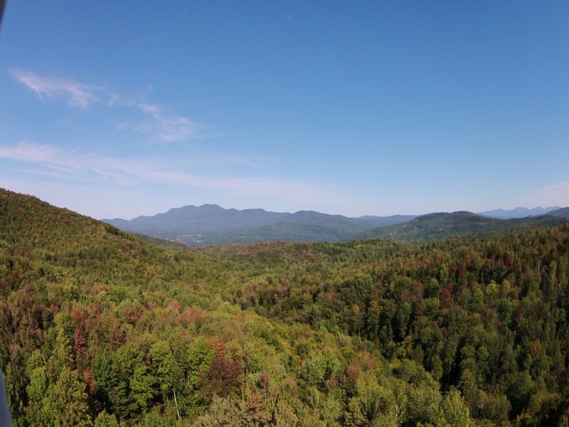 Hayes Road Forest : Duxbury : Washington County : Vermont